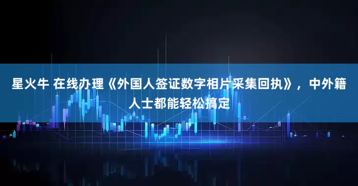 星火牛 在线办理《外国人签证数字相片采集回执》，中外籍人士都能轻松搞定